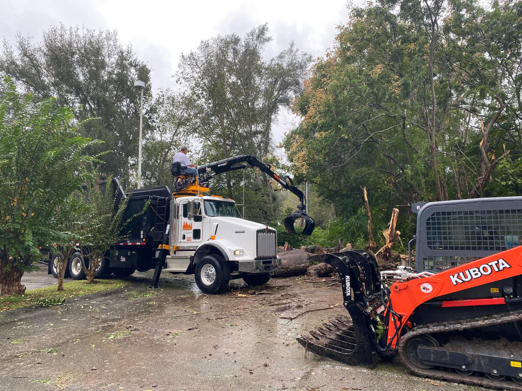 Grapple truck and Kubota skid steer loading storm-felled logs on a rainy day