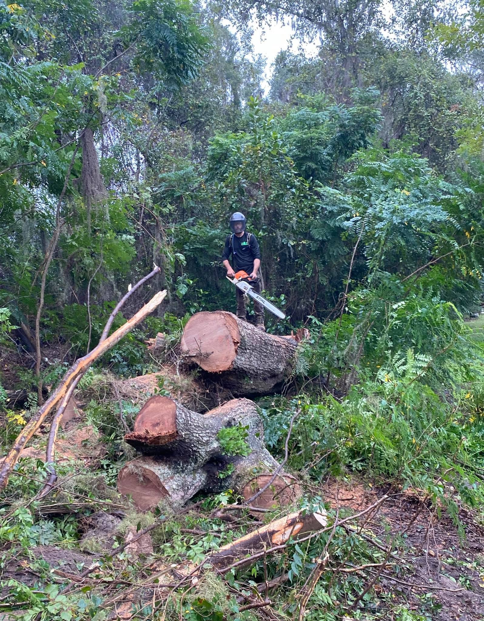 Land Clearing & Lot Prep