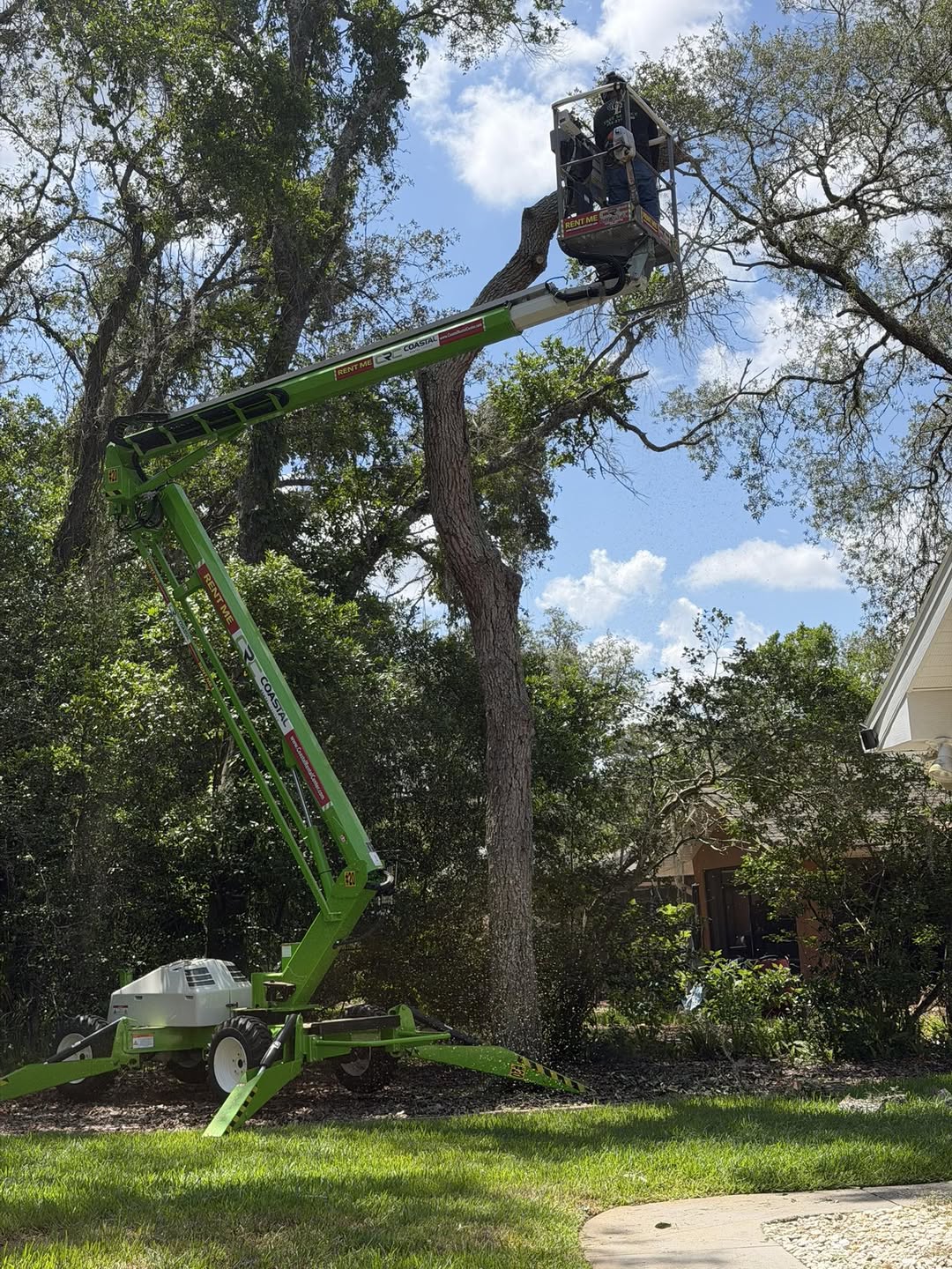163 LLC crew member in a spider lift bucket working high in a large oak canopy