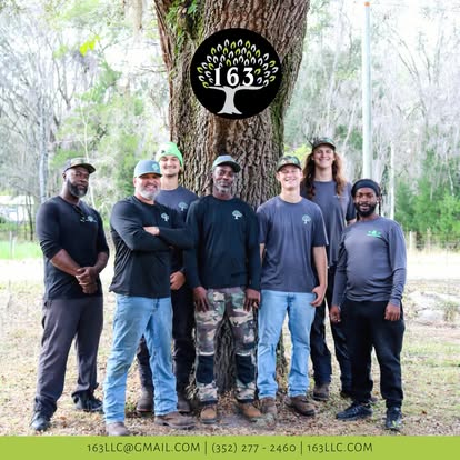 The 163 LLC crew standing together in front of a large tree with the 163 logo sign